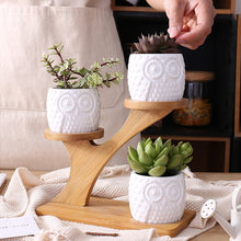 Load image into Gallery viewer, Zen Owl Mini Planter Pots Set