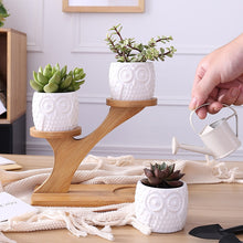 Load image into Gallery viewer, Zen Owl Mini Planter Pots Set