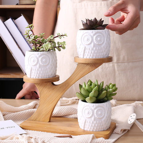 Zen Owl Mini Planter Pots Set