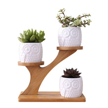 Load image into Gallery viewer, Zen Owl Mini Planter Pots Set