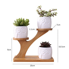 Load image into Gallery viewer, Zen Owl Mini Planter Pots Set