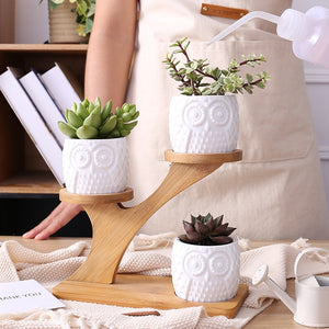 Zen Owl Mini Planter Pots Set