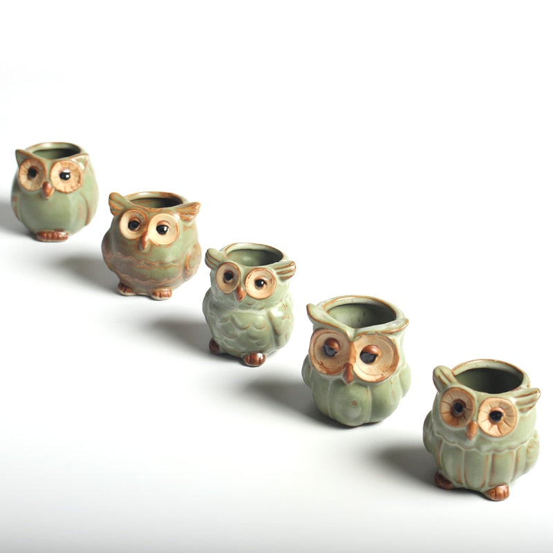 Solo Owl Mini Flower Pot
