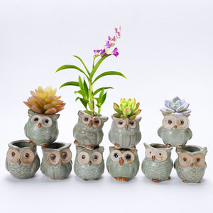 Solo Owl Mini Flower Pot