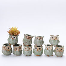 Load image into Gallery viewer, Solo Owl Mini Flower Pot