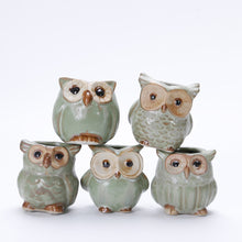 Load image into Gallery viewer, Solo Owl Mini Flower Pot