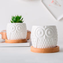 Load image into Gallery viewer, Hoo-Hoo Twin Mini Planter Pots Set