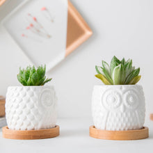 Load image into Gallery viewer, Hoo-Hoo Twin Mini Planter Pots Set