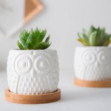 Load image into Gallery viewer, Hoo-Hoo Twin Mini Planter Pots Set