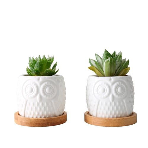 Hoo-Hoo Twin Mini Planter Pots Set