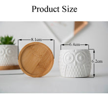 Load image into Gallery viewer, Hoo-Hoo Twin Mini Planter Pots Set