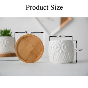 Hoo-Hoo Twin Mini Planter Pots Set
