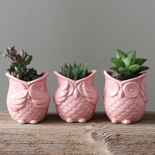 The 3 Wise Owl Mini Pots Set