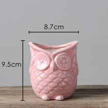 Load image into Gallery viewer, The 3 Wise Owl Mini Pots Set