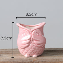 Load image into Gallery viewer, The 3 Wise Owl Mini Pots Set