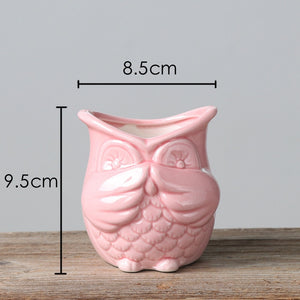 The 3 Wise Owl Mini Pots Set
