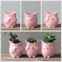 Load image into Gallery viewer, The 3 Wise Owl Mini Pots Set