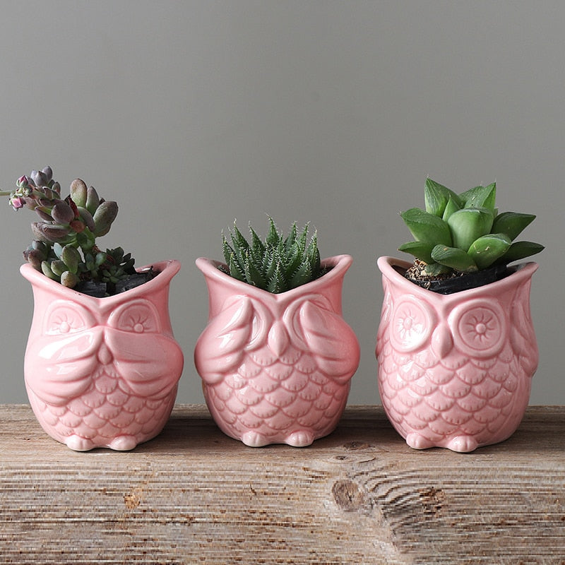 The 3 Wise Owl Mini Pots Set