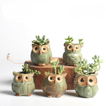 Load image into Gallery viewer, Parliament Owl Mini Plant Pots (Set of 5) 50% off plus FREE Shipping