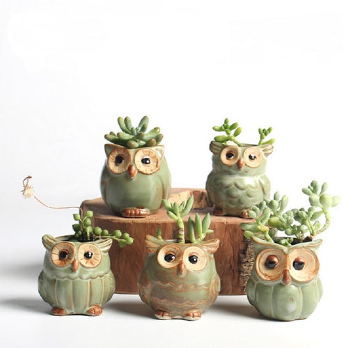 Parliament Owl Mini Plant Pots (Set of 5) 50% off plus FREE Shipping