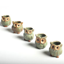 Load image into Gallery viewer, Parliament Owl Mini Plant Pots (Set of 5) 50% off plus FREE Shipping
