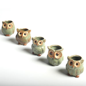 Parliament Owl Mini Plant Pots (Set of 5) 50% off plus FREE Shipping