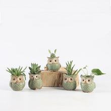 Load image into Gallery viewer, Parliament Owl Mini Plant Pots (Set of 5) 50% off plus FREE Shipping