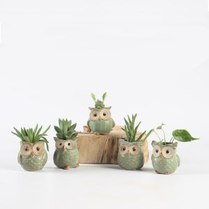 Parliament Owl Mini Plant Pots (Set of 5) 50% off plus FREE Shipping