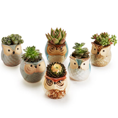 Owl family Ceramic Mini Pots (Set of 6) SALE 50% off