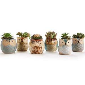 Owl family Ceramic Mini Pots (Set of 6) SALE 50% off
