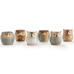 Owl family Ceramic Mini Pots (Set of 6) SALE 50% off