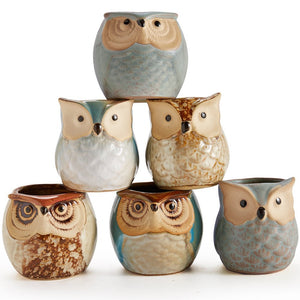 Owl family Ceramic Mini Pots (Set of 6) SALE 50% off