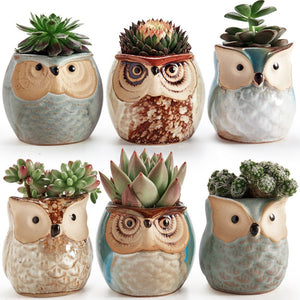 Owl family Ceramic Mini Pots (Set of 6) SALE 50% off