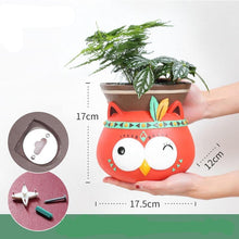 Load image into Gallery viewer, Cheyenne The Indian Owl Planter