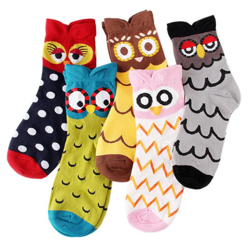 Parliament of Owls Socks (5 Pairs)