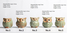 Load image into Gallery viewer, Parliament Owl Mini Plant Pots (Set of 5) 50% off plus FREE Shipping