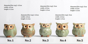 Parliament Owl Mini Plant Pots (Set of 5) 50% off plus FREE Shipping